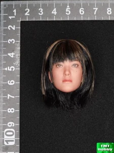 1:6 Scale Soldier Story SSG-007 PUBG Venator - Real Like Head (Rooted Hair) - Picture 1 of 3