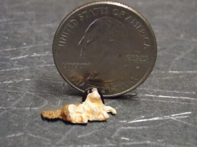 Dollhouse Miniature Dog Spaniel Animals 1:48 Quarter Scale B256 Dollys Gallery - Image 1 of 4