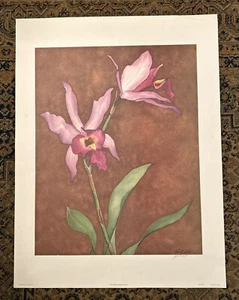 VINTAGE ROBERT WHITE SIGNED Lithograph PRINT Orchids ,1982 Art Image - Picture 1 of 7