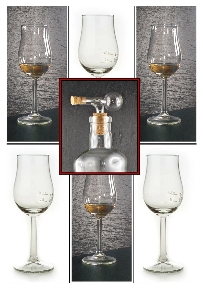6 Bugatti Whisky Gläser Nosing Kelch Tasting Stil Whiskey Glas Likör Single malt