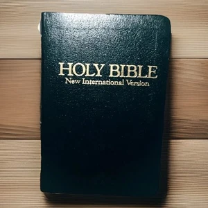Santa Biblia Nueva Versión Internacional Zondervan Publishing 1988 GR Libro Tapa Blanda - Imagen 1 de 9