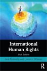 Międzynarodowe prawa człowieka (oprawa miękka lub softback)