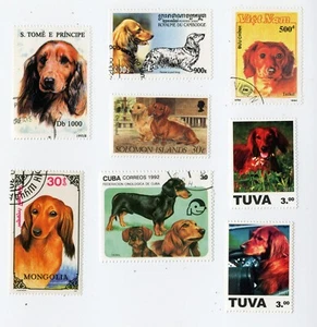 DACHSHUND LONG HAIRED COLLECTION OF VINTAGE DOG POSTAGE STAMPS VARIOUS COUNTRIES - Picture 1 of 1