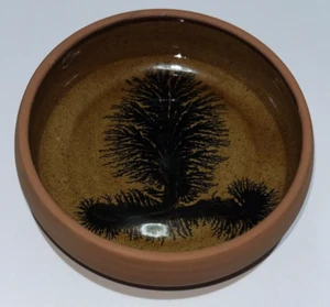 MOKKA WARE SCHMUCKSCHALE BAUMDESIGN ? BOSCASTLE KERAMIK - Bild 1 von 5