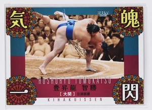 HOSHORYU TOMOKATSU No.73 - 2025 BBM Sumo Wrestling Trading Card - Bild 1 von 3
