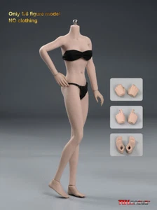 TBLeague 1/6 S27B Seamless Body Suntan MID Breast SHORTER PH Figure Body Model - Picture 1 of 9