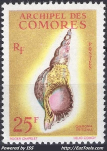 COMORES COQUILLAGES 25Fr JAUNE ET POLYCHROME N° 24 NEUF ** SANS CHARNIERE - Picture 1 of 2