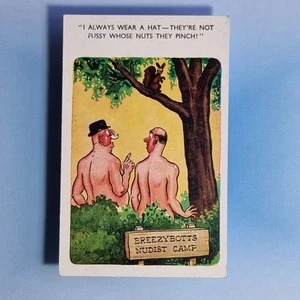 Cómic Postal C1965 Campamento Nudista Breezybotts Ardilla Pellizcar Nueces Sombrero Bigote - Imagen 1 de 2