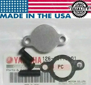 Yamaha YFS200 Blaster Oil injection pump block off plate kit + "OEM" Gasket - Foto 1 di 1