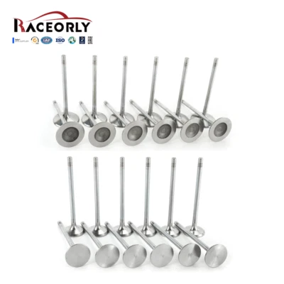 RACEORLY 24* Engine Valve Set For Mercedes-Benz W211 X164 W164 M272 3.5L Foto 1 de 4
