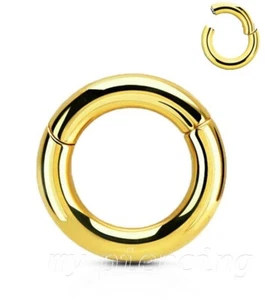 Hinged Clicker Segment Rings PVD 316L Surgical Steel Earring Septum - Picture 1 of 10