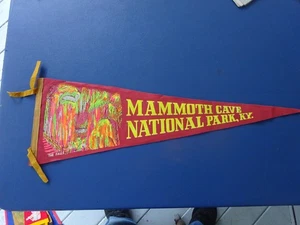Großer 26 Zoll Vintage Mammuthöhle Nationalpark Wimpel - Bild 1 von 4