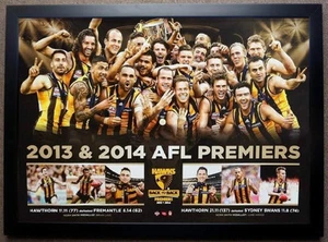 2014 Hawthorn AFL Premiers Hawthorn Hawks Football Club Premiership Poster Frame - Picture 1 of 1