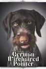 German Wirehaired Pointer: Dog breed overview and guide by Nina Pustova Paperbac
