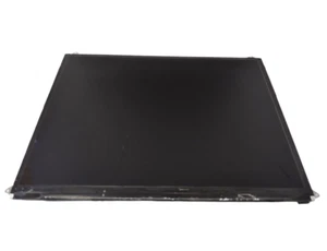 Usado OEM Apple iPad 2 Pantalla LCD Repuesto - A1395 A1397 - Imagen 1 de 3