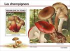 Chad - 2021 Bitter Beech Bolete Mushrooms - Stamp Souvenir Sheet - TCH210604b