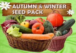 BASIC WINTER VEGETABLE SEEDS PACK-10 PACKETS-GROW YOUR OWN VEGETABLE GARDEN - Picture 1 of 12