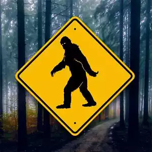 Segnaletica stradale incrocio Bigfoot - Cartello in alluminio - Avvistamento sasquatch - Yeti Art - Foto 1 di 8