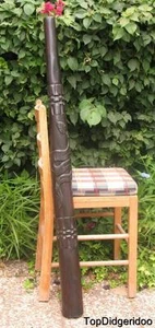 47"\120cm DIDGERIDOO+Bag+Beeswax Mouthpiece *Teak Wood SNAKE Artwork Hand-Carved - Picture 1 of 8
