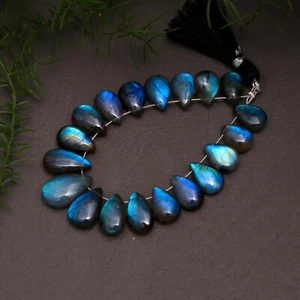 19 piezas 65 quilates labradorita natural lágrima piedra preciosa briolette 7x10-9x15 mm #12748 - Imagen 1 de 8