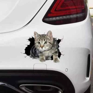 CAT vinyl sticker decal for truck SUV, car bumper, laptop, skateboard and windos - Picture 1 of 2