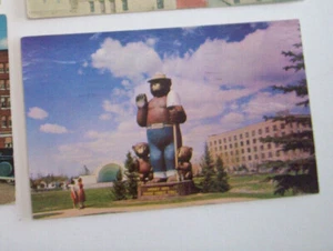 SMOKEY THE BEAR KOOCHICHING COUNTY, MINNESOTA - Imagen 1 de 1