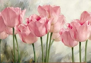 DIY Paint by Numbers Oil Painting Canvas Kids or Adults Beginner with Brushes a - Picture 1 of 8