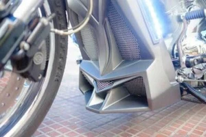 Harley Davidson Custom VROD Spoiler Radiador Cubierta V-Rod Muscle 07-UP VRSCF - Imagen 1 de 5