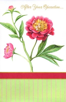 Tarjeta GET WELL SOON, de American Greetings, operación, flores rosas + sobre Foto 1 de 4
