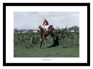 Red Rum's 3rd Grand National Win Horse Racing Photo Memorabilia (930) - Picture 1 of 1