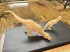 3-D Printer dinosaur models Tyrannosaurus rex & Carnotaurus