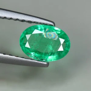 0.50 Cts_Extreme Top Lustrous_100 % Natural AAA+ Vivid Green Emerald_Zambia - Imagen 1 de 3