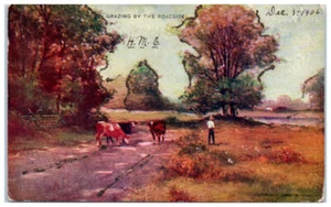 Postcard UDB Cattle Grazing By The Roadside With Farmer Glitter Details 1906 - Picture 1 of 3