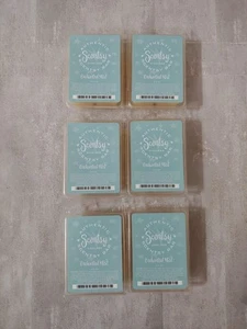 Menge 6 Scentsy Authentische Dochtlose Duftriegel Verzauberter Nebel 2,4 Oz. - Bild 1 von 3