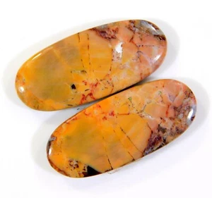 25 Ct Natural Polygram Pair Oval Cabochon Gemstone Earring Making CB=0118 - Picture 1 of 7