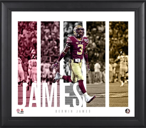 Derwin James Florida State Seminoles Framed 15x17 Player Panel Collage Cover