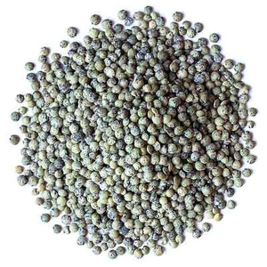 Organic Whole French Green Lentils — Sproutable, Non-GMO — by Food to Live - Picture 1 of 30