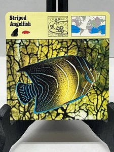 Vintage 1975 Rencontre Safari/Animal Card - Striped Angelfish - Printed In Italy - Picture 1 of 3