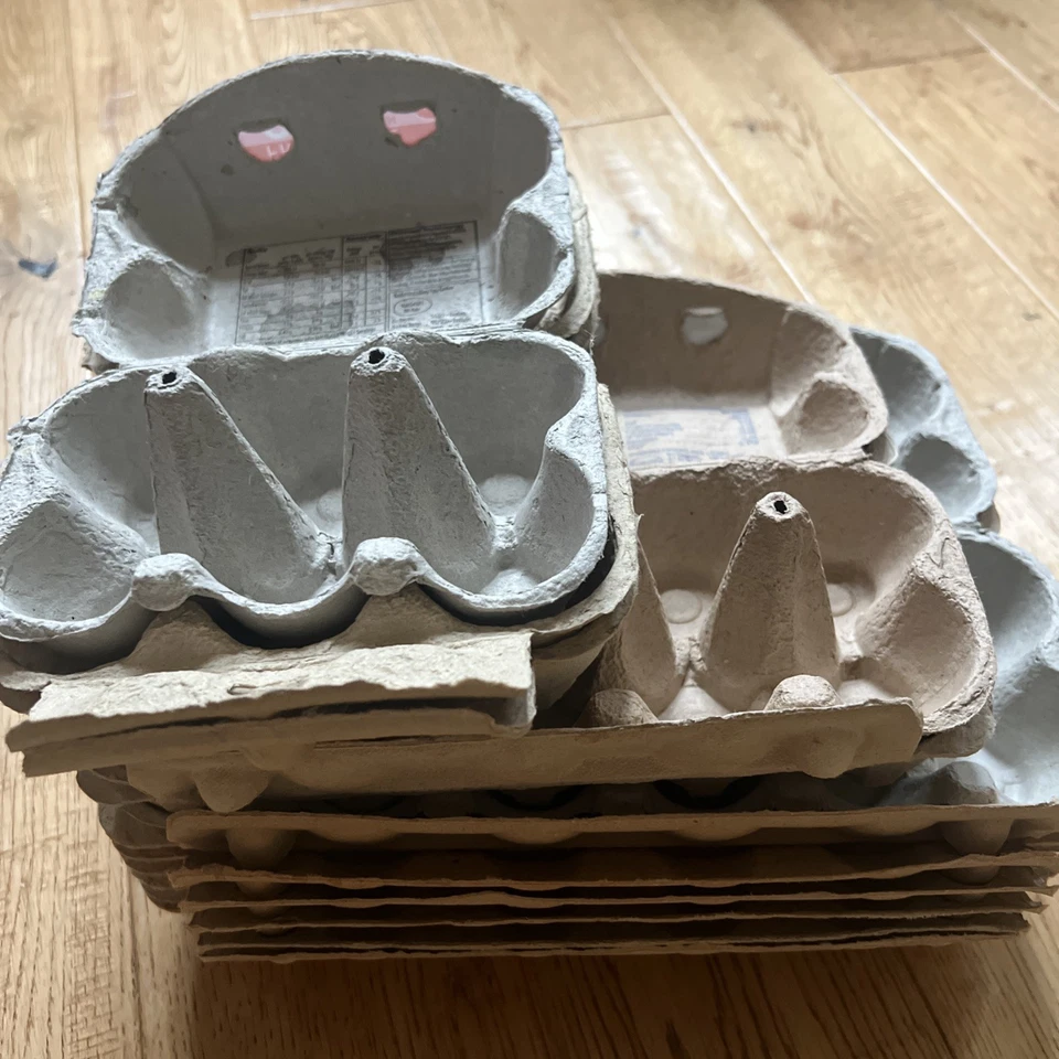 12 cajas de huevos vacías recuperadas embalaje cartón plántulas artesanía reutilización maceta Foto 1 de 1