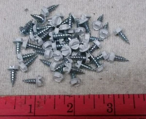 ** 50 Stück - Blechschrauben - #8 x 1/2 - WEISS beschichtet - SECHSKANTKOPF * - Bild 1 von 1