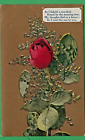 Greetings postcard/gold bkgrd/ red rose/ leaves/ poem