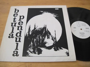 BETULA PENDULA - S/T MEGA RARE MINIMAL SYNTH AVANTGARDE ORIG CZECH LP - Picture 1 of 1