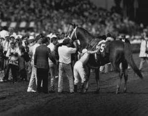 On The Line Horse, Vintage KentucKY Derby Races, B&W Photo Poster, Imagekind - Picture 1 of 17