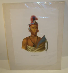 McKenney & Hall 9 X 12 Folio Edition PRINT Keesheewaa FOX CHIEF - Picture 1 of 1