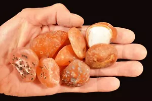 CARNELIANO 1 1/2" 8 Pezzi GRADO B Roccia Caduta Esemplare Minerale Pietra Chakra - Foto 1 di 1