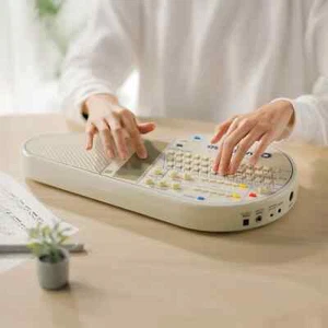 Omnichord von Suzuki - neues Modell 2025 - machen Sie mir einen ANGEBOT Verkauf - Bild 1 von 2