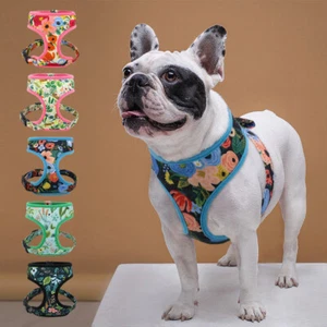 Air Mesh Dog Harness Pet Walking Vest for Small Medium Large Dogs French Bulldog - Picture 1 of 17