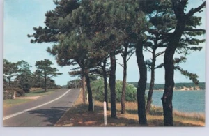 Along The Highway, Somewhere, USA, Vintage Chrome Postcard - Picture 1 of 2
