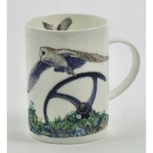 Border Fine Arts Barn Owl in Flight China Mug - Picture 1 of 1