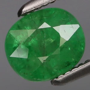1.51Ct.Ravishing Color&Full Sparkling! Natural Green Tsavorite Tanzania - Picture 1 of 4